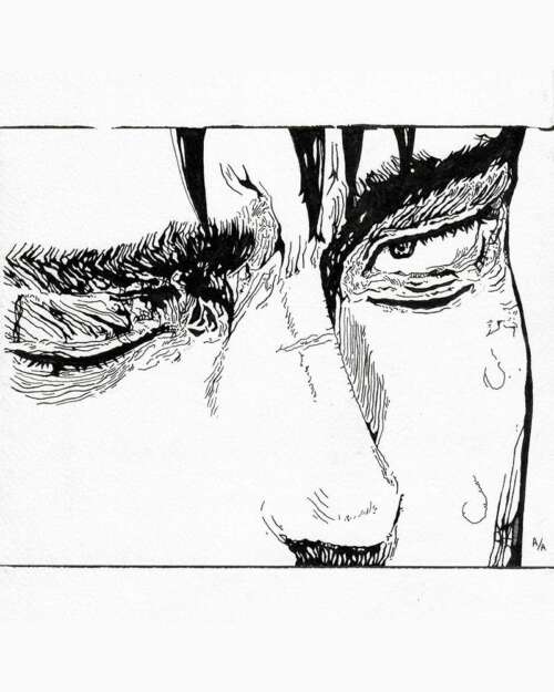 The Stoic Gaze
